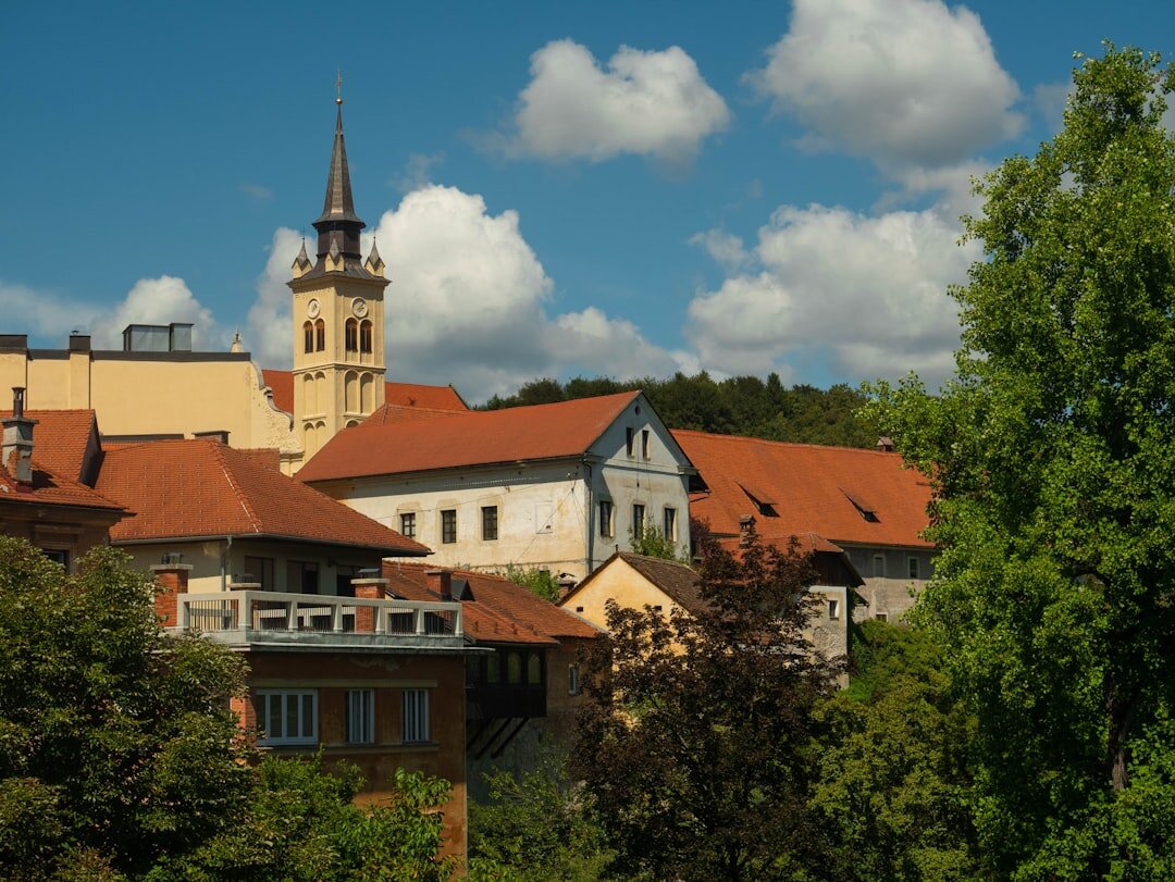 Rovinj old town on a hill with church tower